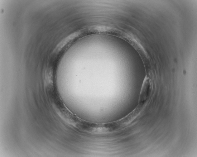 X0000087520212200705112014