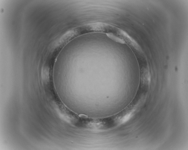 X0000087520213200705112014