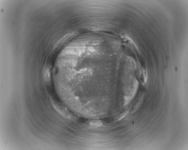 X0000087520214200705112014