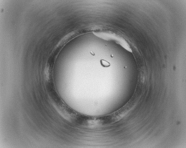 X0000087520216200705112014