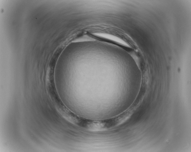 X0000087520217200705112014