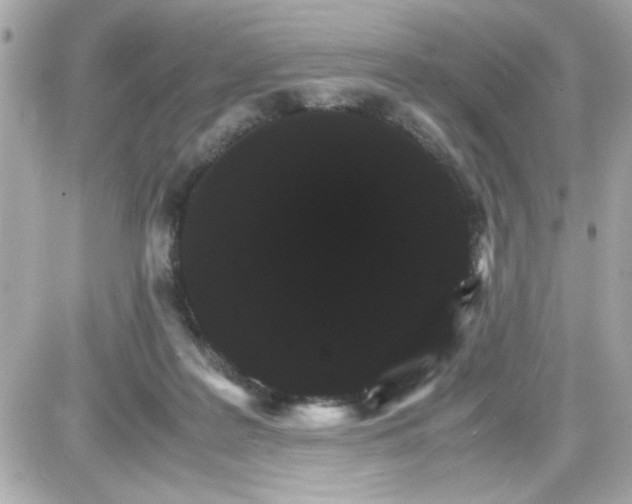 X0000087520219200705112014