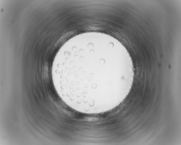 X0000087520220200705112014