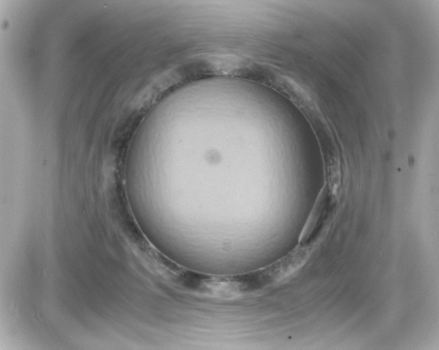 X0000087520221200705112014