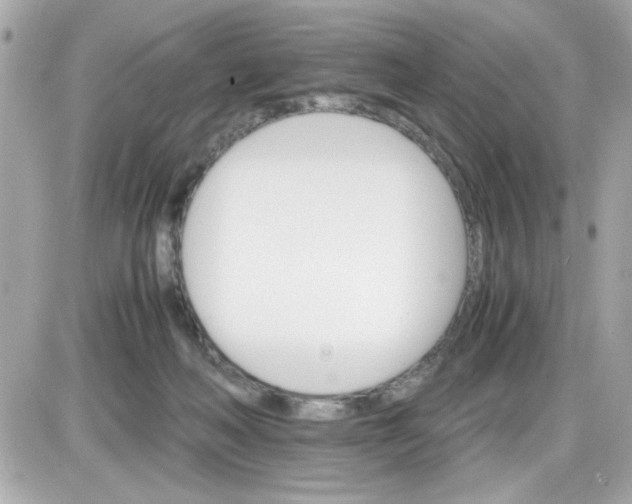 X0000087520222200705112014