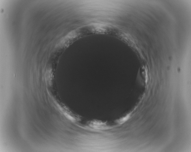 X0000087520223200705112014