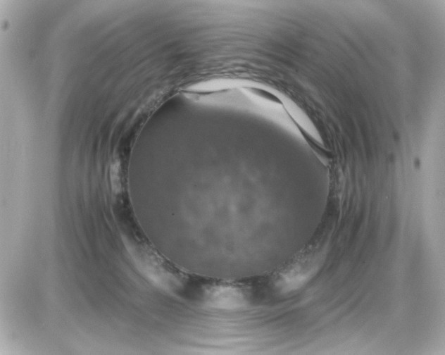 X0000087520224200705112014