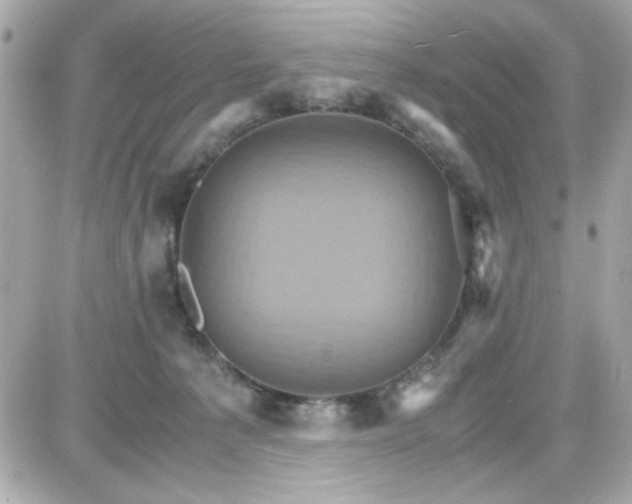 X0000087520225200705112014