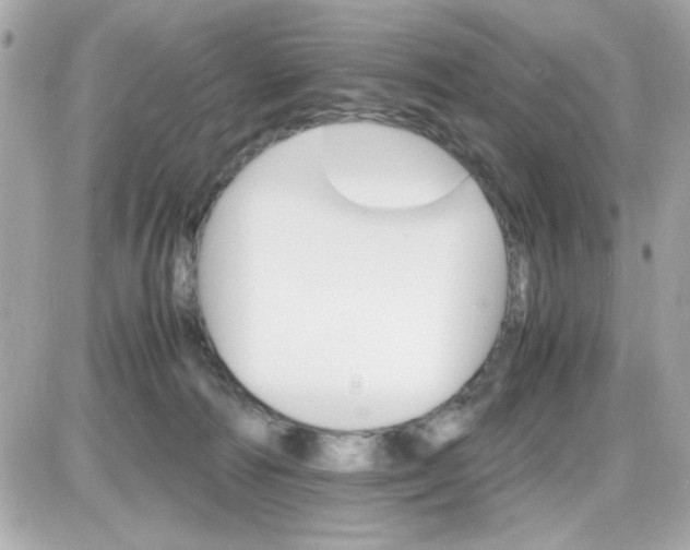 X0000087520226200705112014