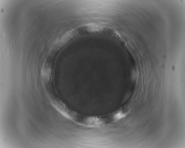 X0000087520227200705112014