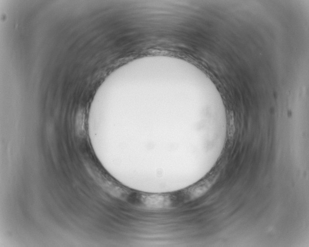 X0000087520230200705112014