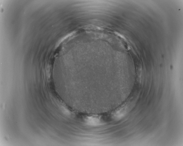 X0000087520232200705112014