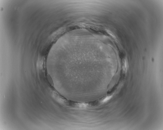 X0000087520233200705112014