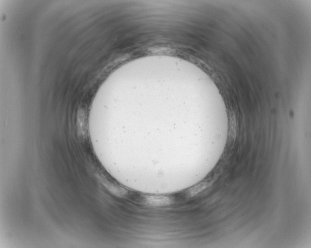 X0000087520234200705112014