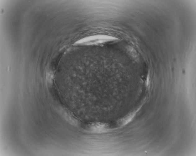 X0000087520235200705112014