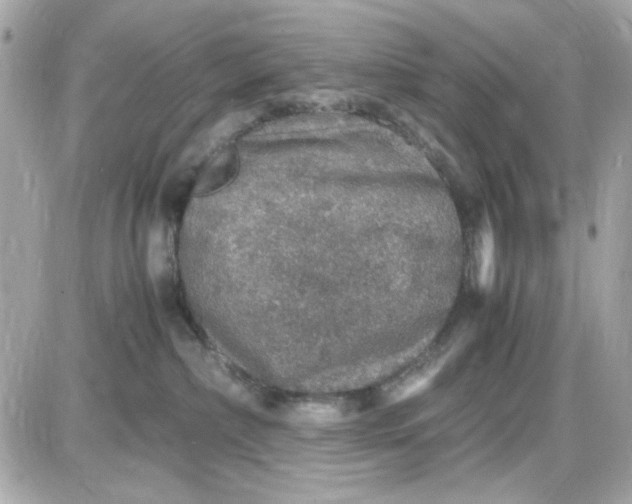 X0000087520236200705112014