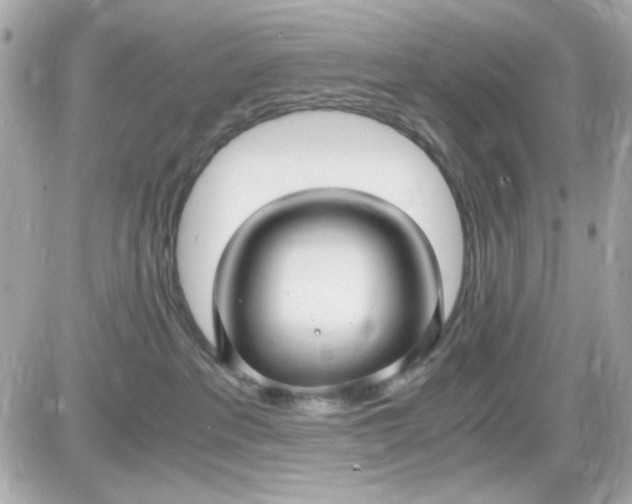 X0000087520237200705112014