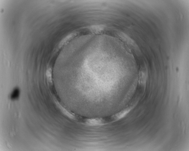 X0000087520238200705112014