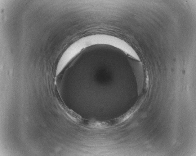 X0000087520239200705112014