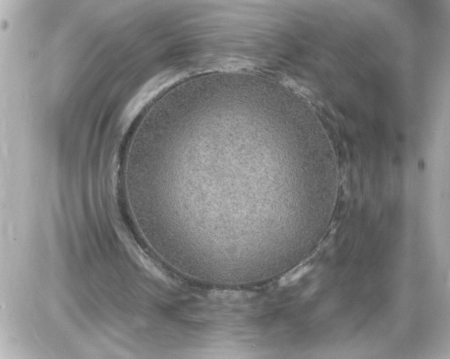 X0000087520242200705112013