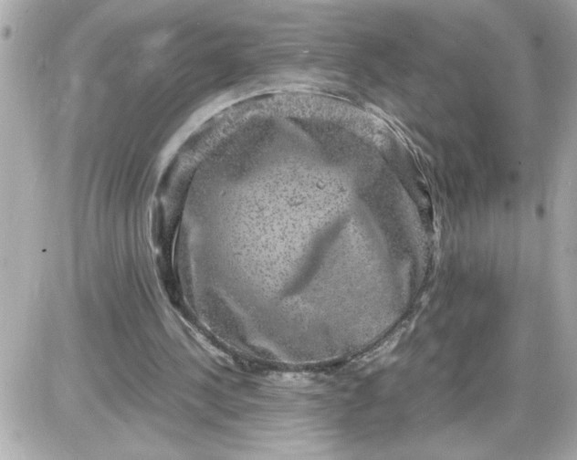 X0000087520244200705112013