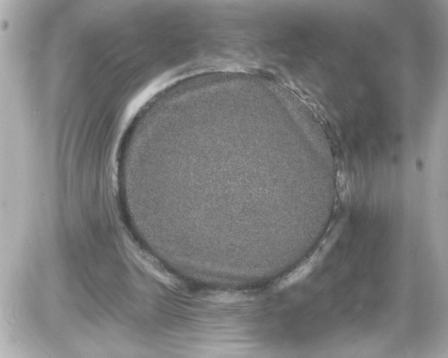 X0000087520246200705112013