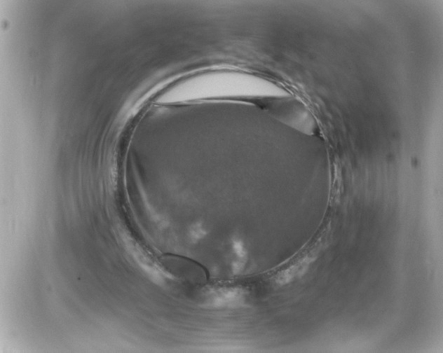 X0000087520247200705112013