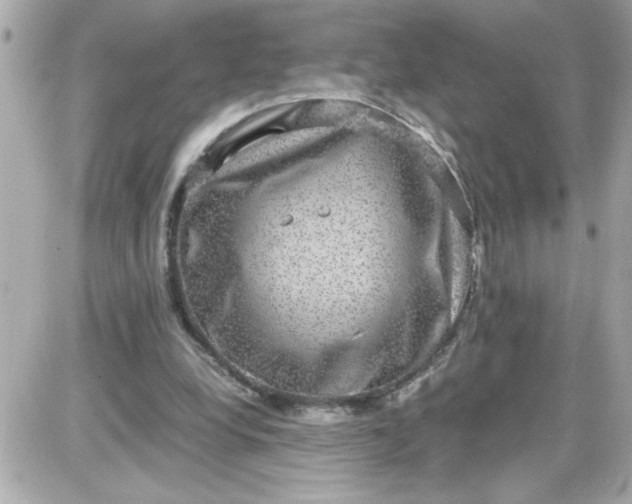 X0000087520248200705112013