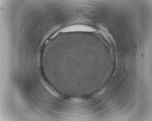 X0000087520250200705112013