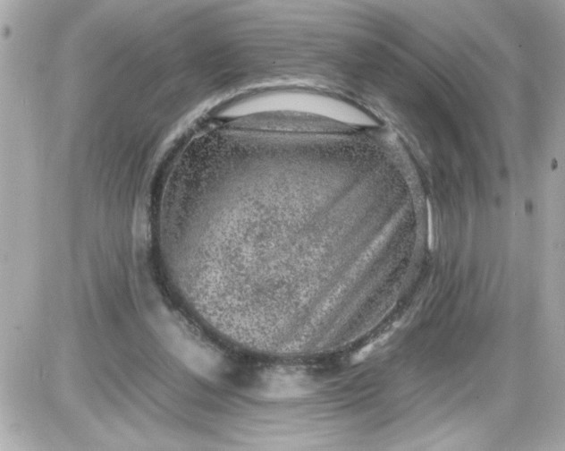 X0000087520252200705112013