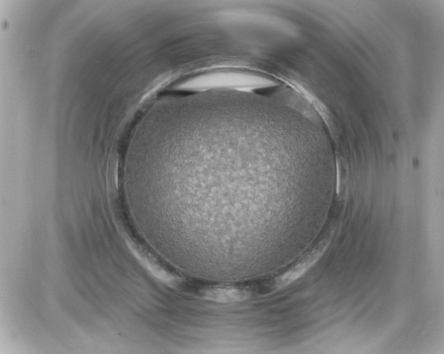 X0000087520253200705112013