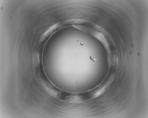 X0000087520254200705112013