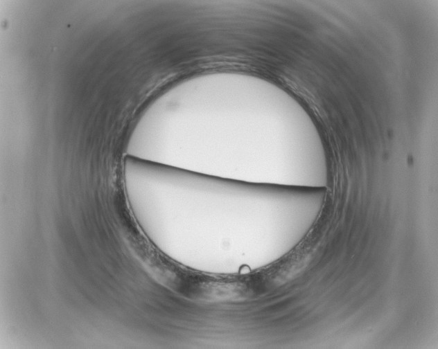 X0000087520255200705112013