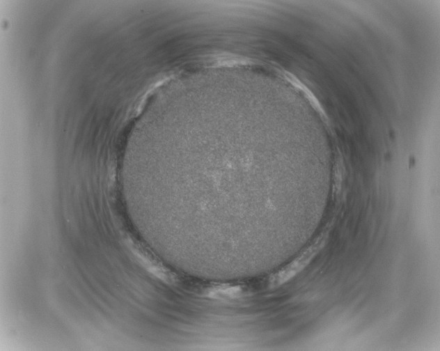 X0000087520257200705112013