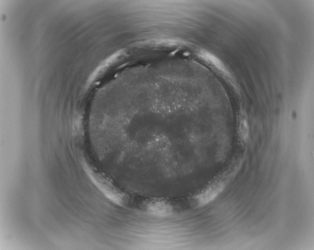 X0000087520258200705112013