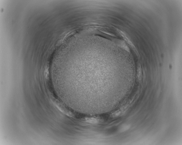 X0000087520259200705112013