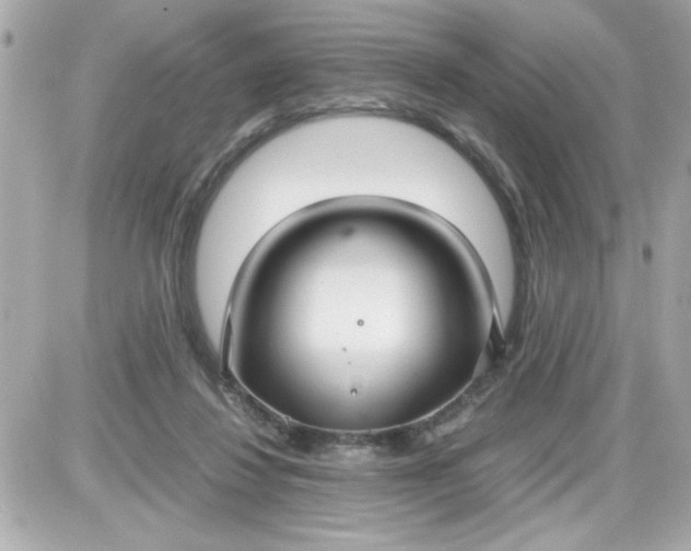 X0000087520260200705112013