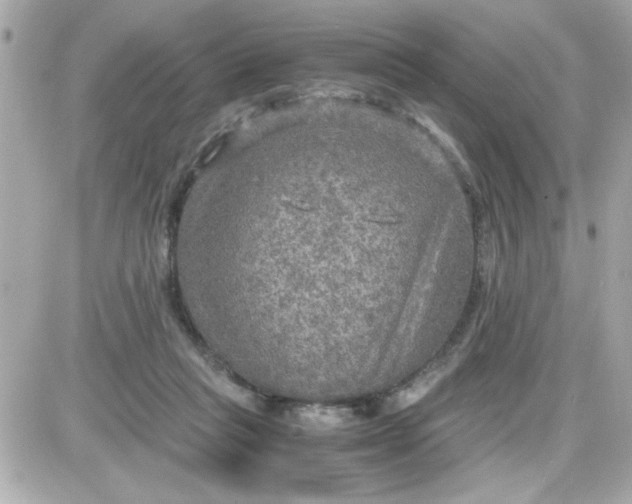 X0000087520261200705112013