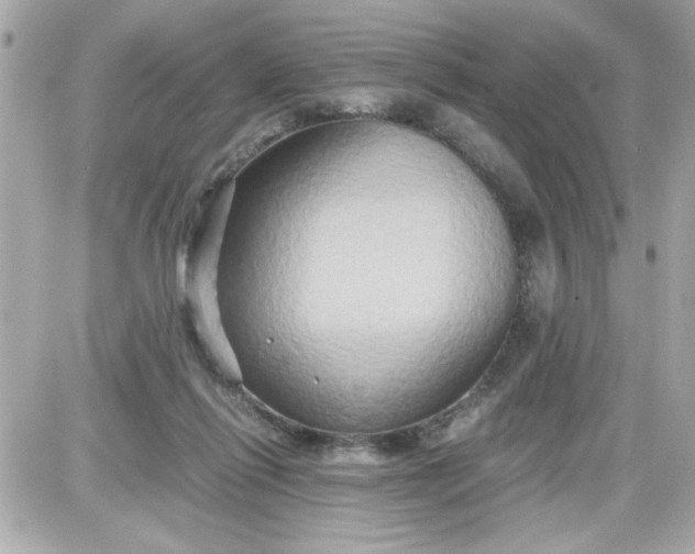 X0000087520262200705112013