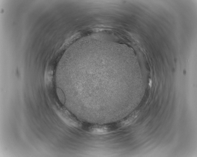 X0000087520263200705112013