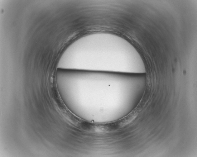 X0000087520264200705112013