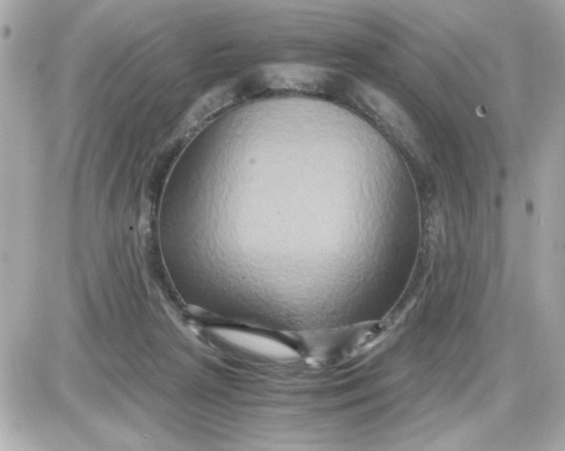 X0000087520265200705112013