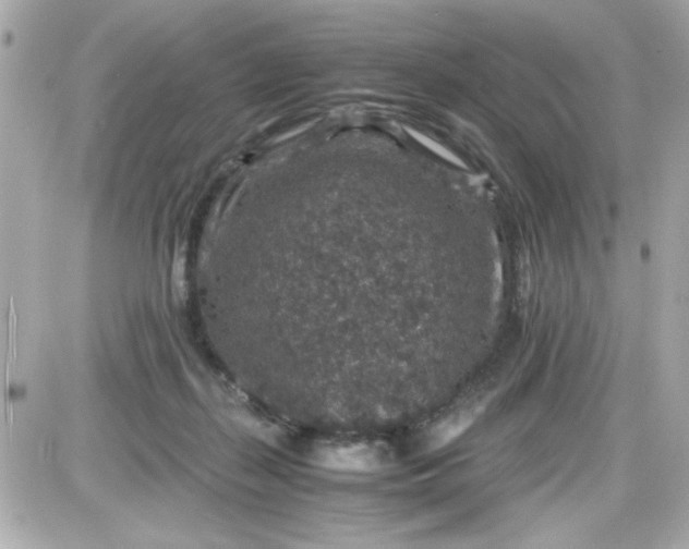 X0000087520267200705112014