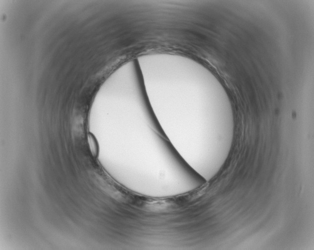 X0000087520269200705112014