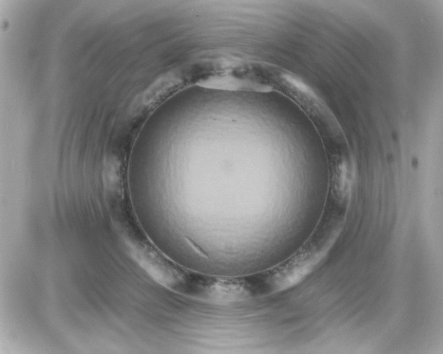 X0000087520270200705112014