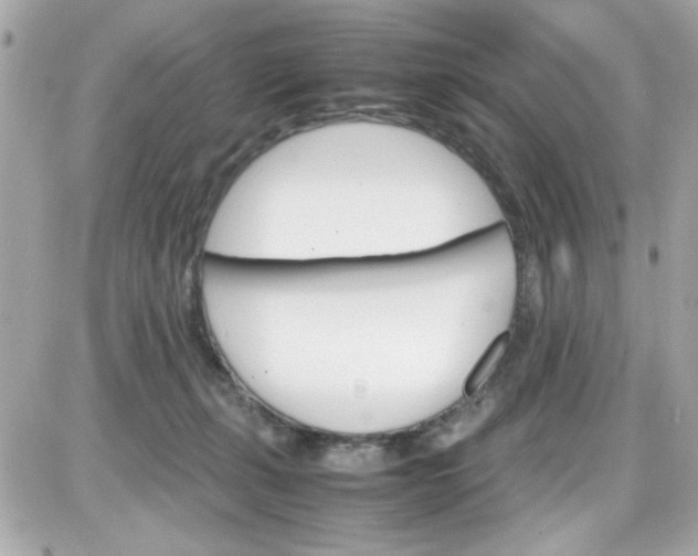 X0000087520271200705112014