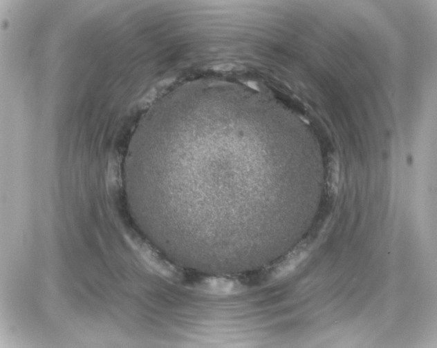 X0000087520272200705112014