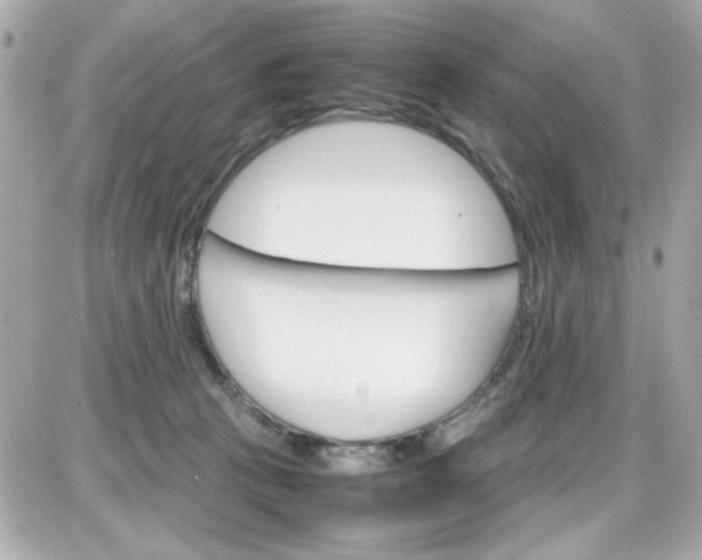 X0000087520273200705112014