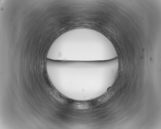 X0000087520275200705112014