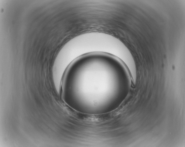 X0000087520276200705112014